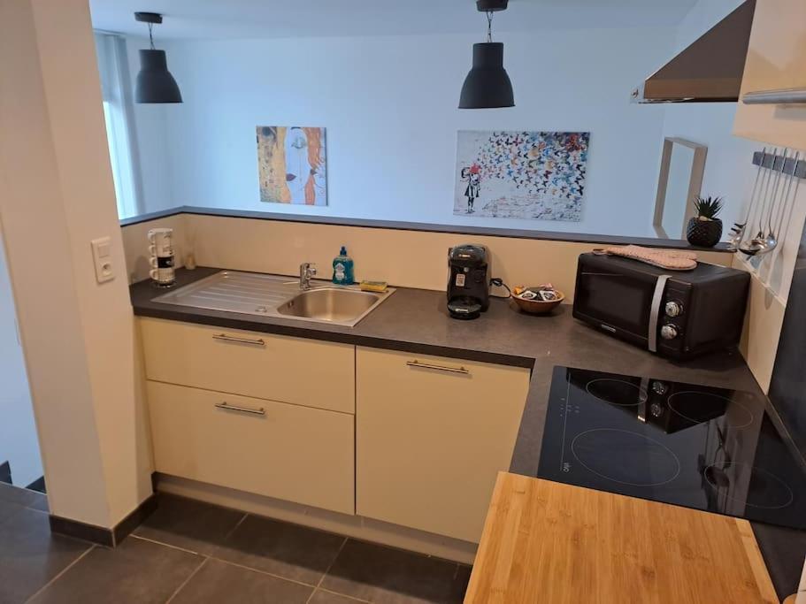 Bel Appartement Grande Terrasse Avec Parking A Dijon Eksteriør billede