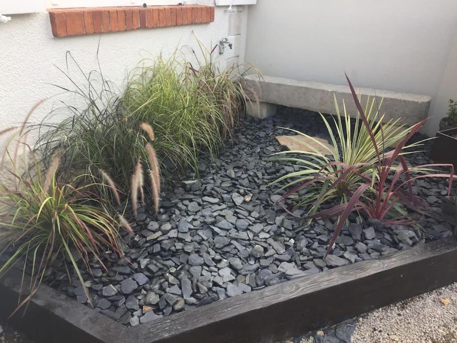 Bel Appartement Grande Terrasse Avec Parking A Dijon Eksteriør billede
