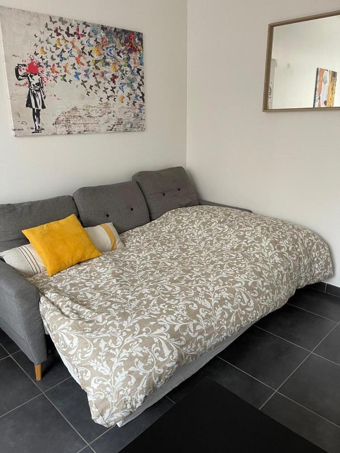 Bel Appartement Grande Terrasse Avec Parking A Dijon Eksteriør billede